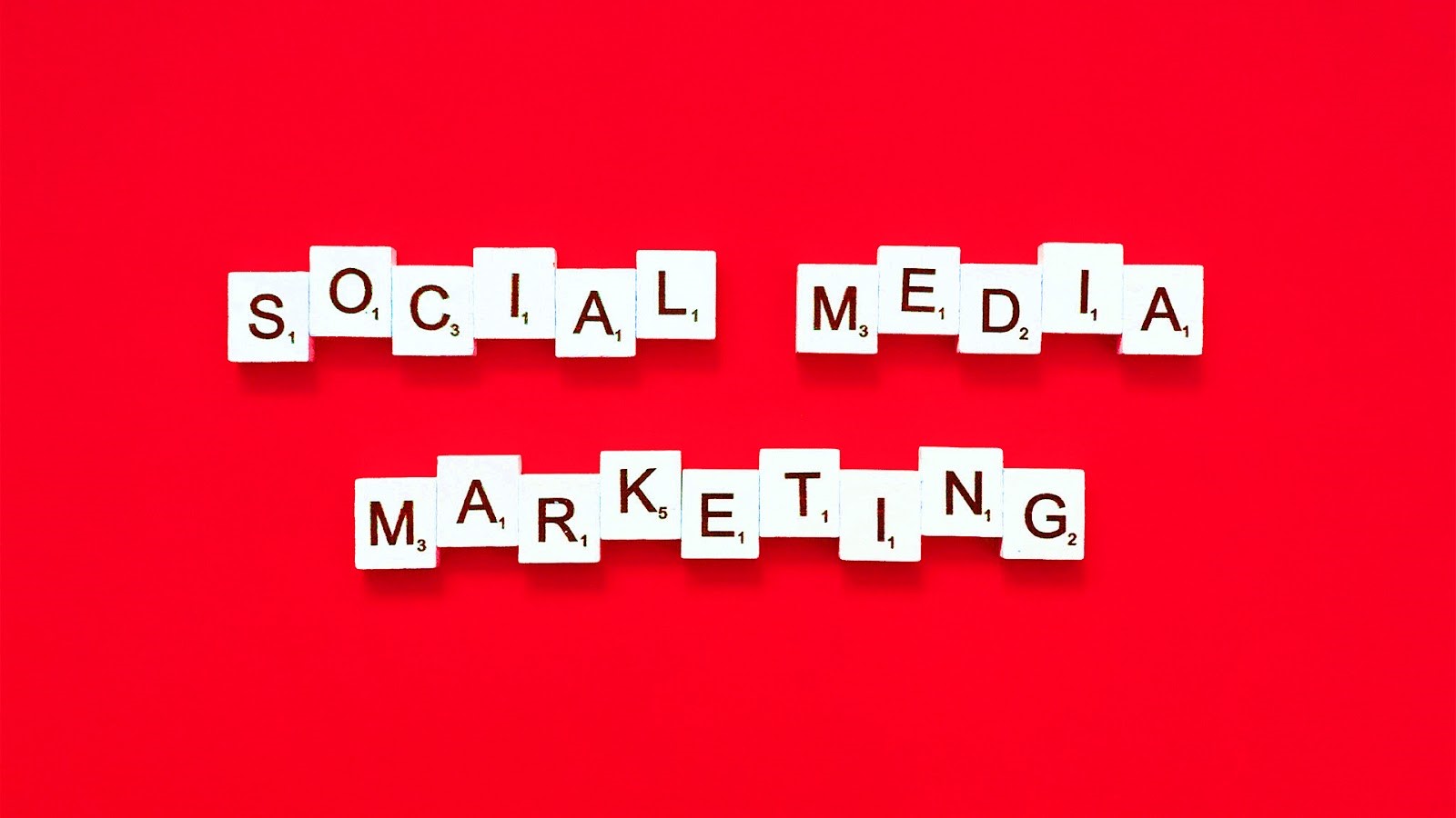Social Media Marketing Trailblazer